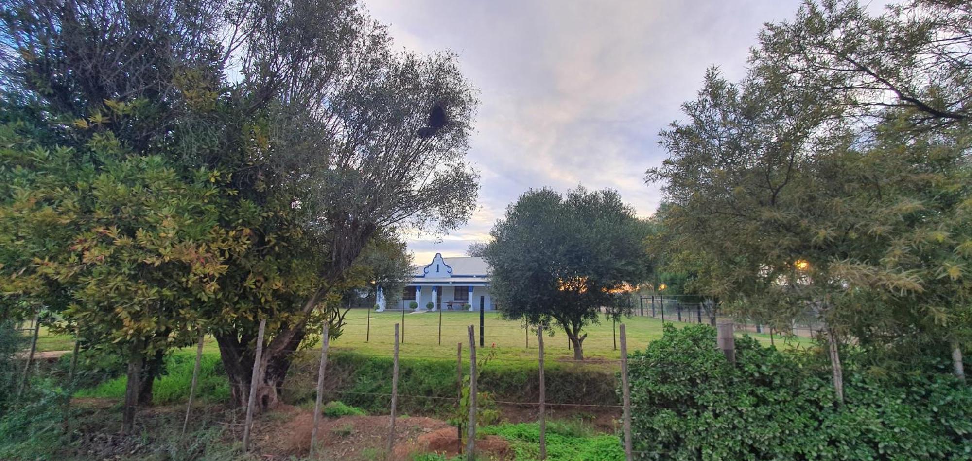 Karoo Leeu Self Catering Villa Oudtshoorn Eksteriør bilde