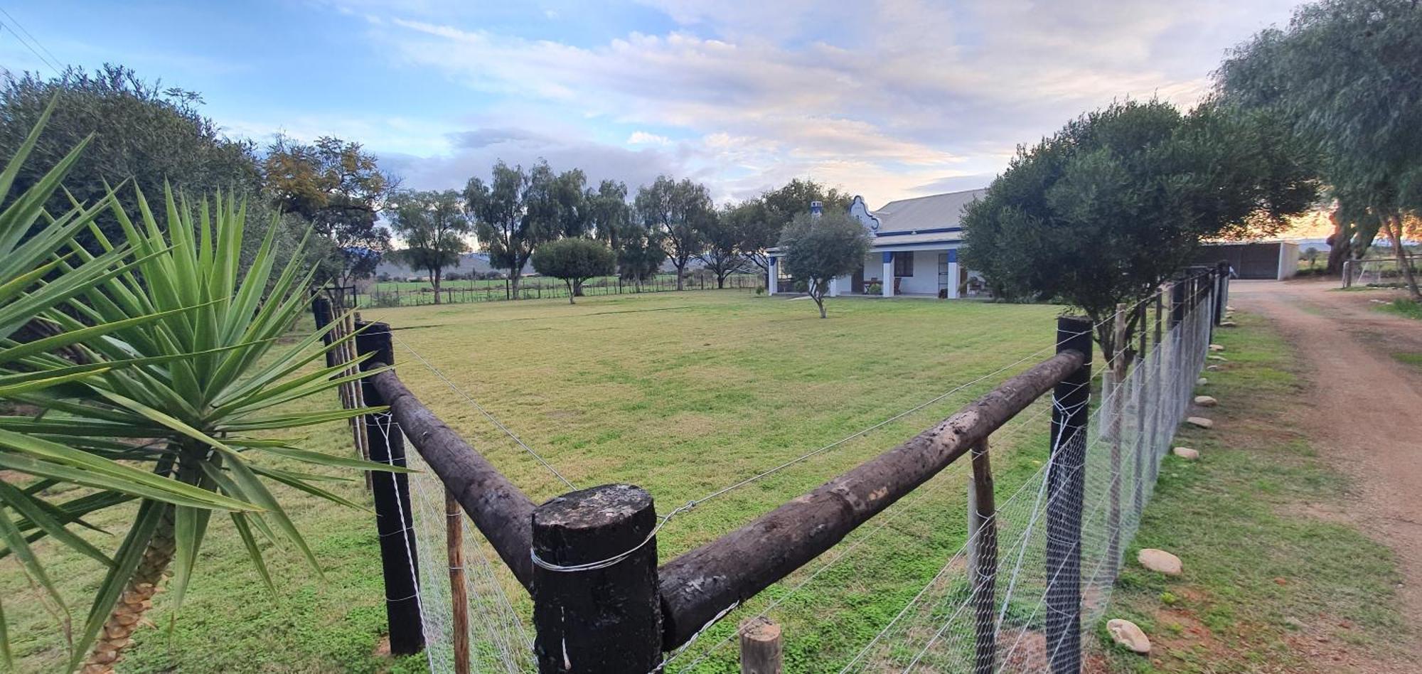 Karoo Leeu Self Catering Villa Oudtshoorn Eksteriør bilde